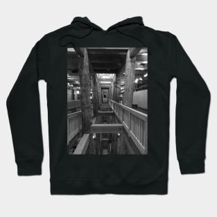 Inside the Ark, Williamstown, Kentucky Hoodie